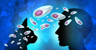 Terrifying Study: Up to 30% of Americans Could Be Infected with Brain-Impacting Parasite