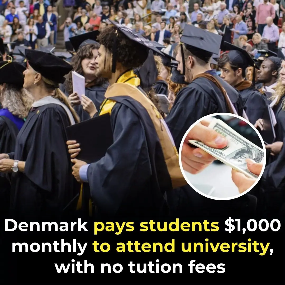 Denmark Pays Students $1,000 Monthly to Attend University, With No Tution Fees