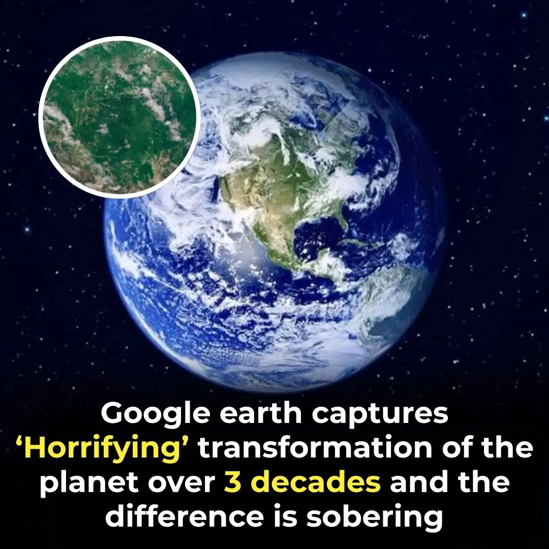 Google Earth Unveils Shocking 37-Year Transformation Of Our Planet