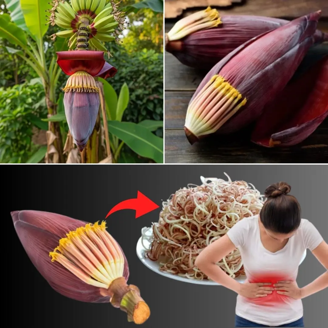 Banana Blossom: The Natural Medicine Everyone Overlooks