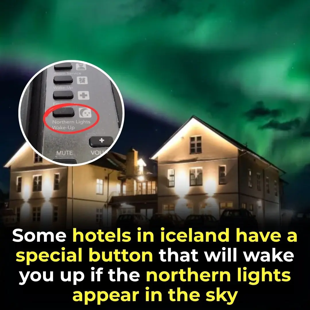 Some Hotels in Iceland Have a Special Button That Will Wake You up if the Northern Lights Appear in the Sky