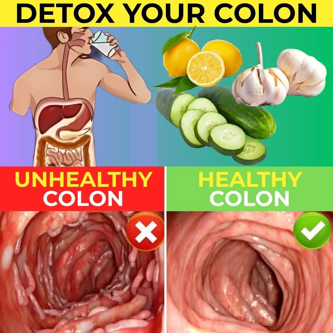 Why Your Gut Deserves More Love Than You Think