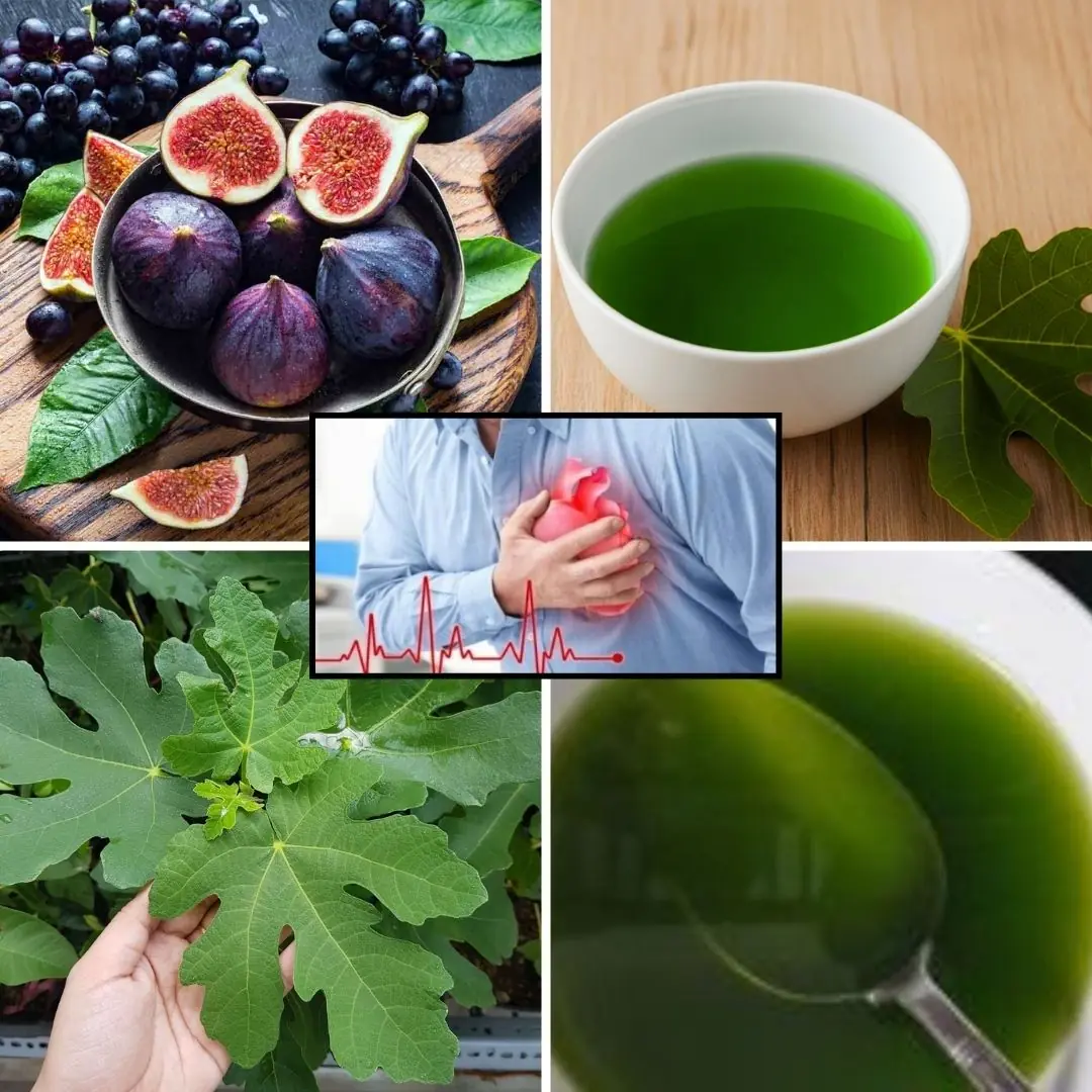 Fig Leaves: Surprising Benefits and Uses