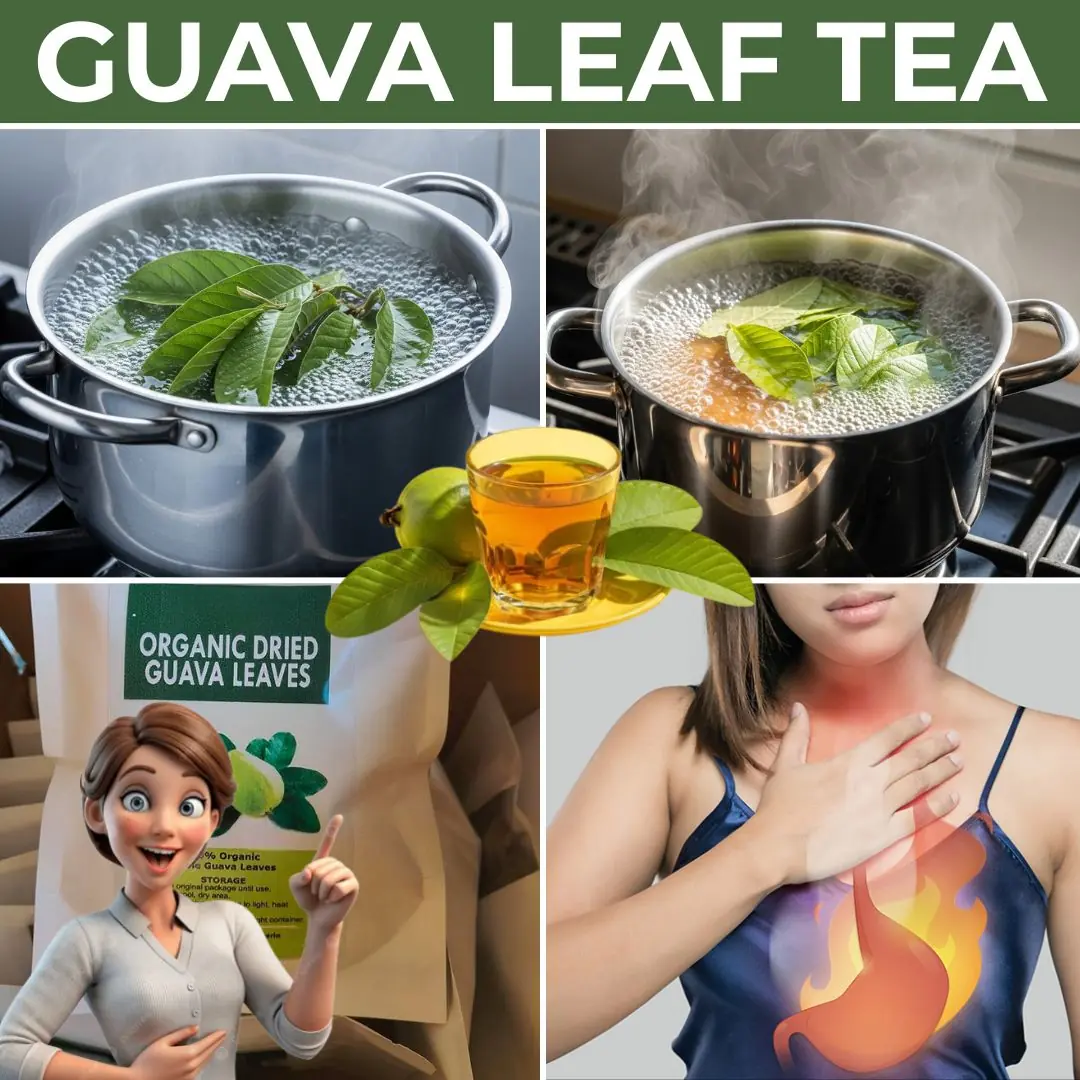 Surprising Health Benefits of Guava Leaves You Need to Know