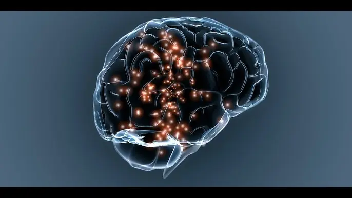 Unmasking the Mind: How Science Shows Conspiracy Theorists' Brains Are Different