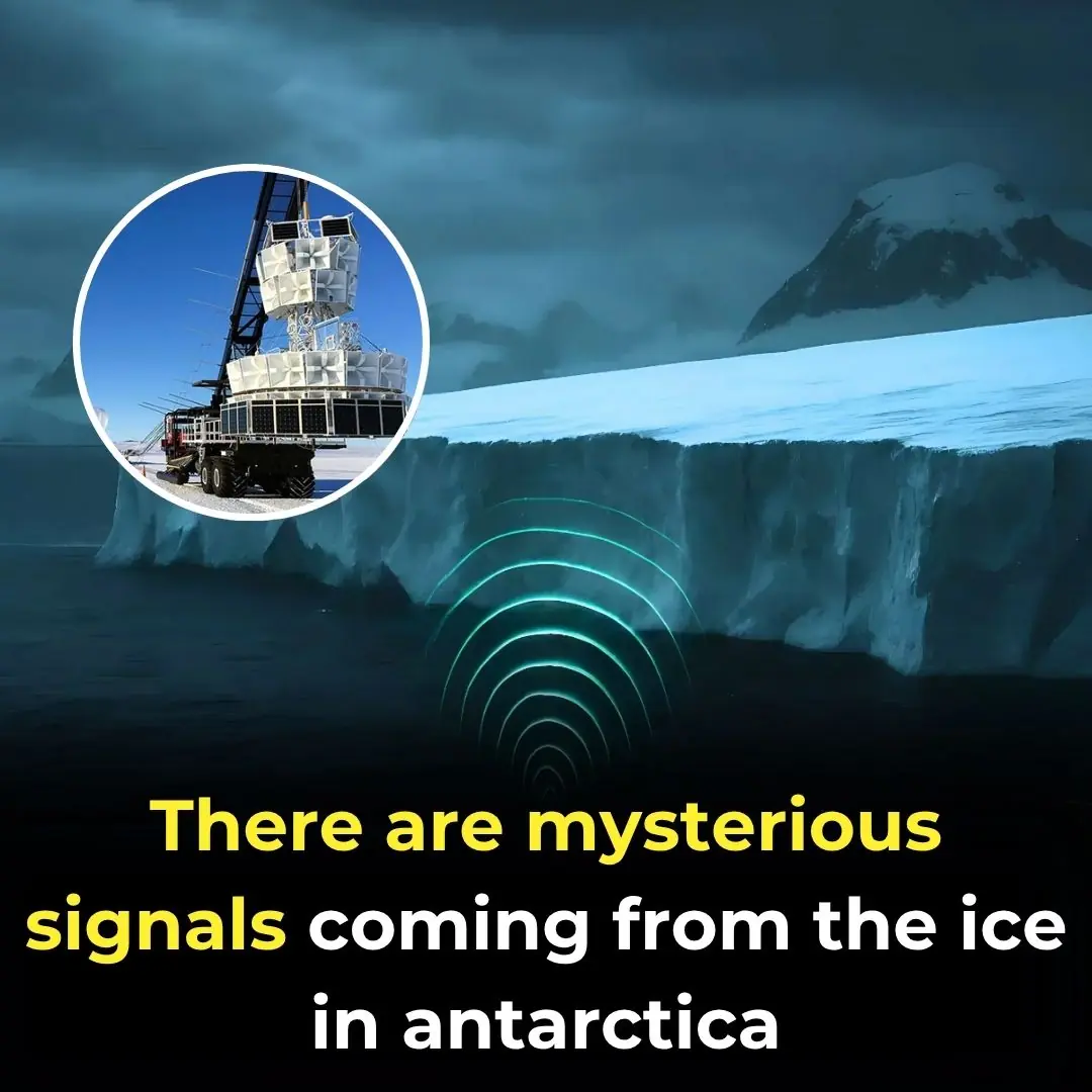 There Are Mysterious Signals Coming From The Ice In Antarctica