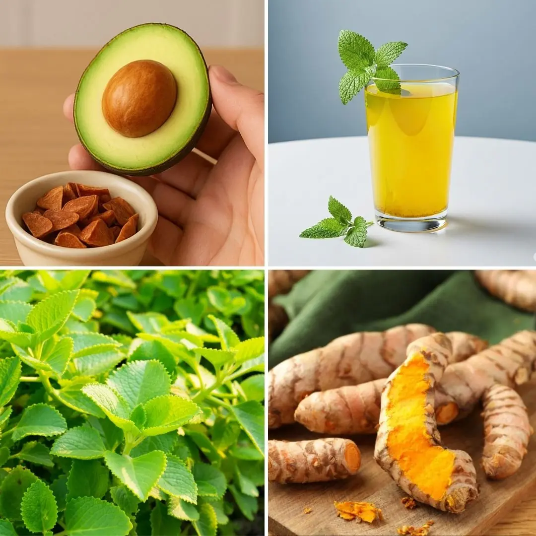 Doctor Frank Suárez's Natural Recipe: Eliminate Diabetes, Poor Circulation, Fatty Liver, Pancreas Problems, High Blood Pressure, Knee Pain, and Even Cancer