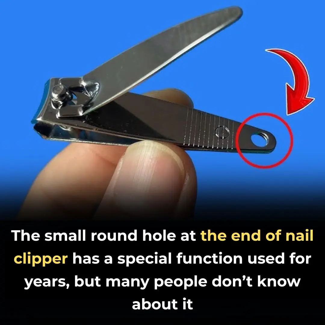 The “Small Round Hole” On The Nail Clipper Has Special And Powerful Uses, And I Had No Idea