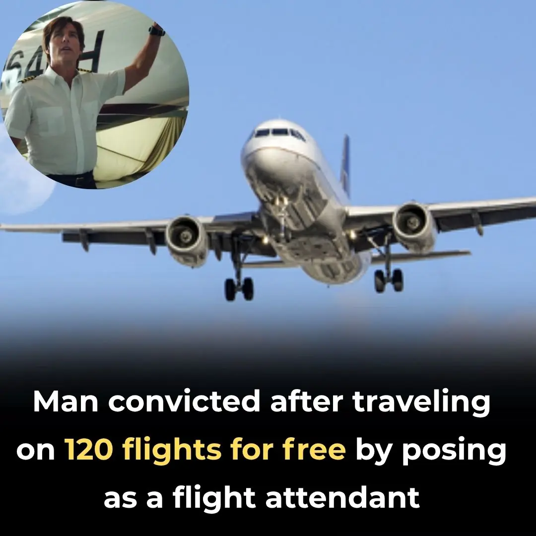 Man Sentenced After Stowing Away On 120 Flights By Masquerading As Flight Attendant