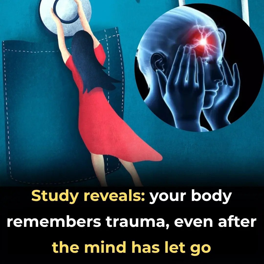 Study Reveals: Your Body Remembers Trauma, Even After the Mind Has Let Go