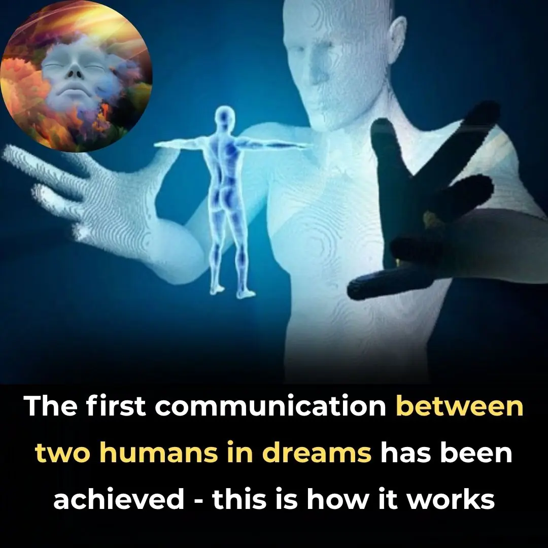 The First Communication Between Two Humans in Dreams Has Been Achieved – This Is How It Works