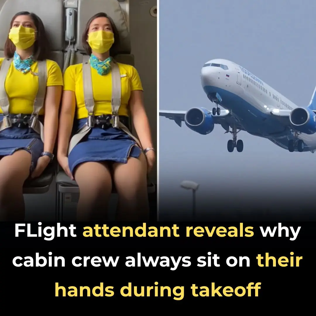 Here’s Why Cabin Crew Sits On Their Hands During Take Off and Landing
