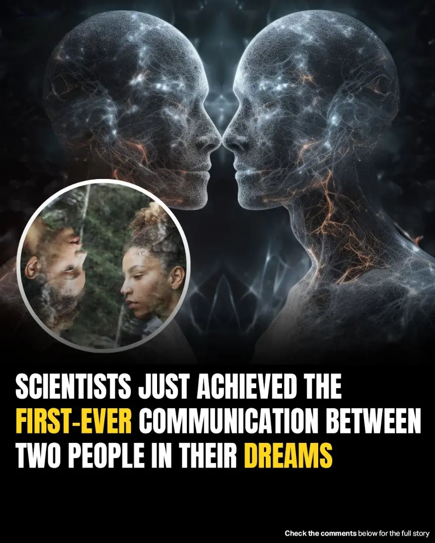 Scientists Achieve First Dream-To-Dream Communication Using Brain Waves