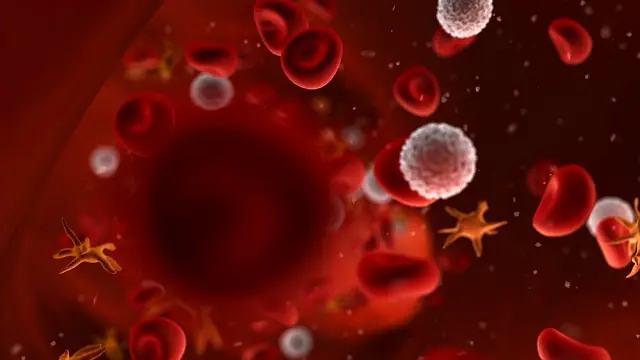 Trojan Horse Therapy: Scientists Engineer Virus to Make Tumors Self-Destruct