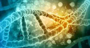 CRISPR Breakthrough: Scientists Successfully Remove Extra Chromosome in Down Syndrome Cells