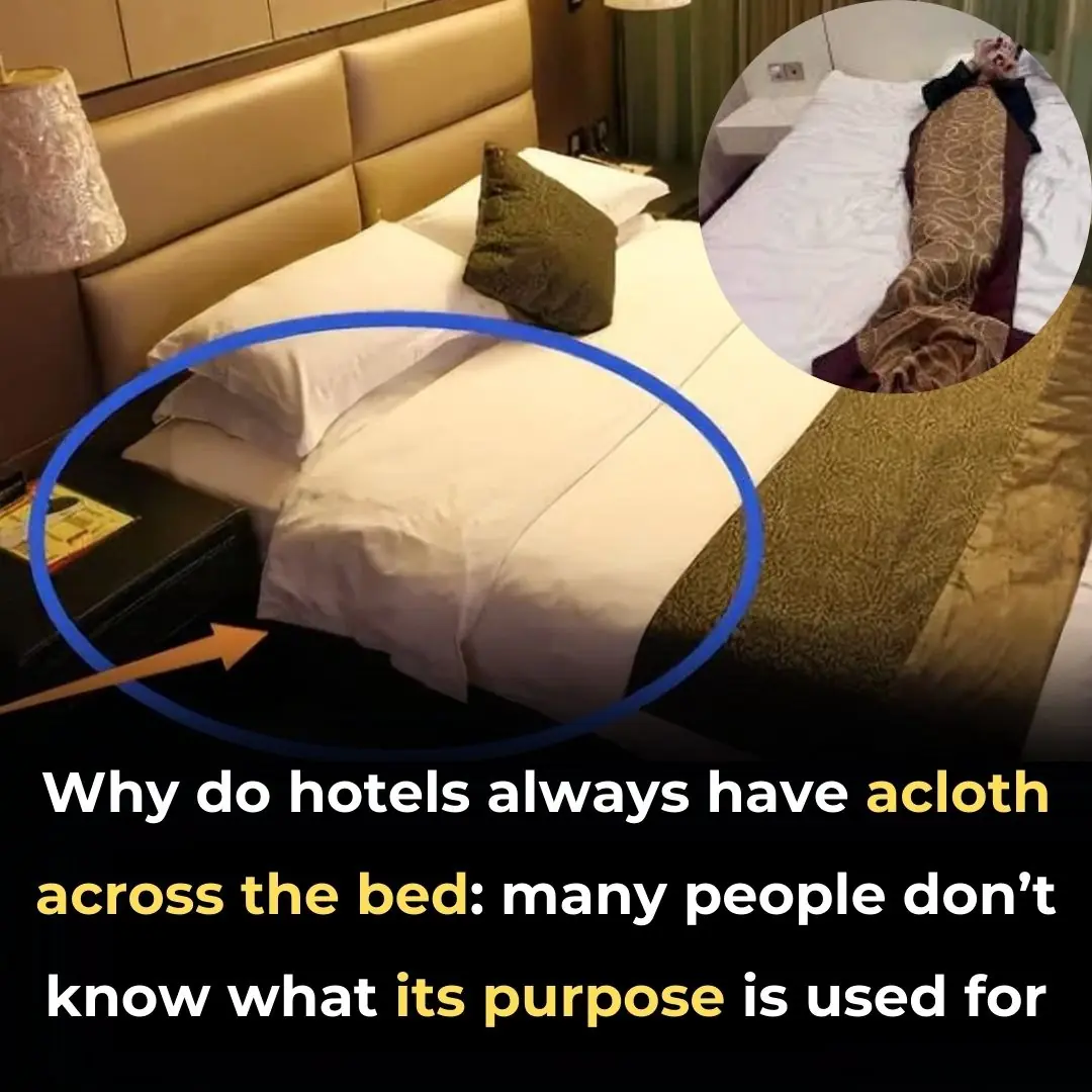 What’s The Purpose Of The Fabric Strip Across Hotel Beds