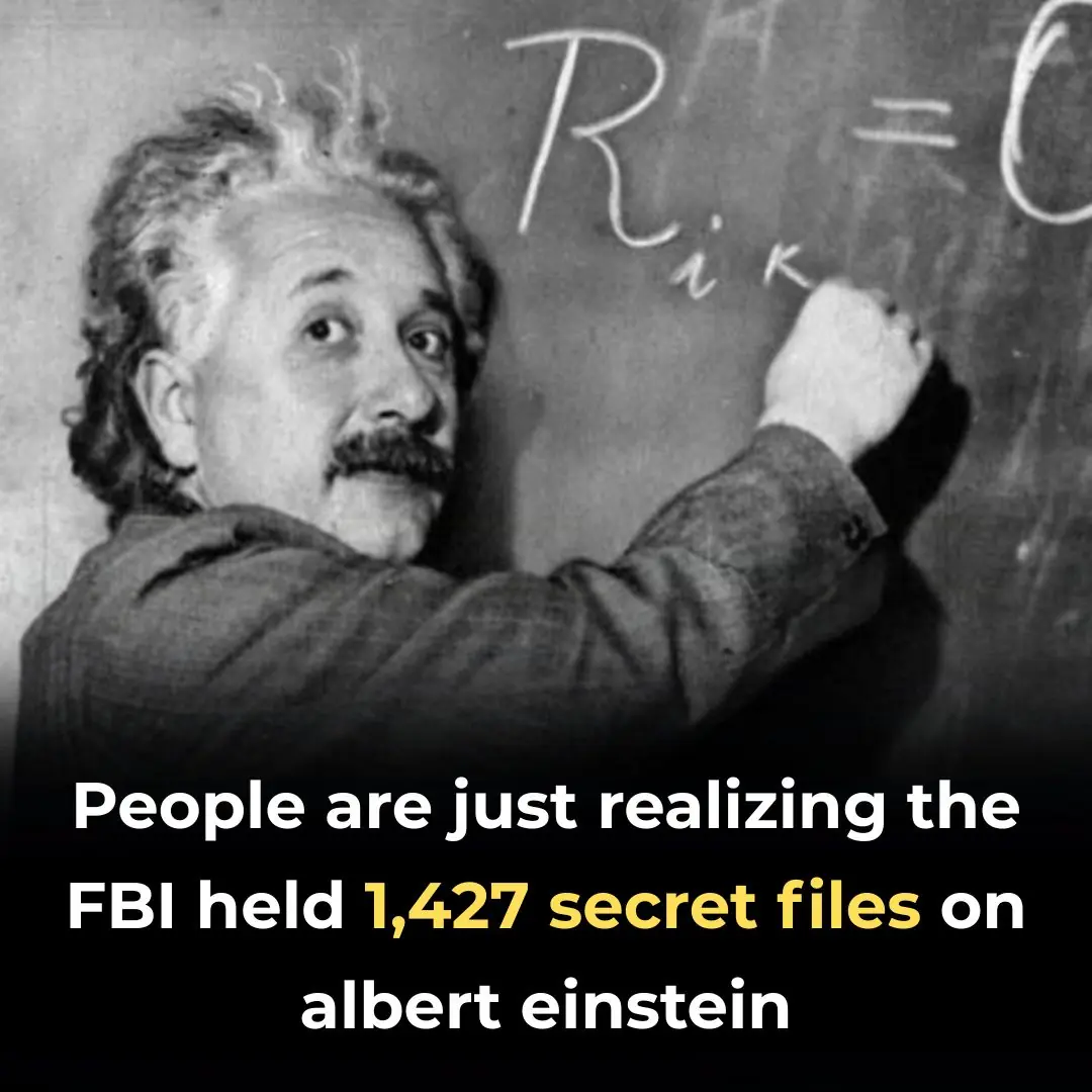 FBI Declassified 1,427 Secret Files On Einstein—Internet Reacts