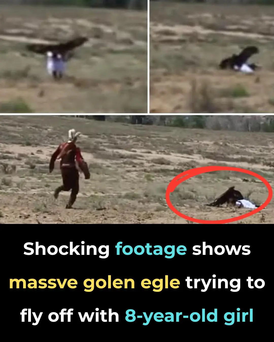 Shocking Footage Shows Massive Golden Eagle Trying To Fly Off With 8-Year-Old Girl