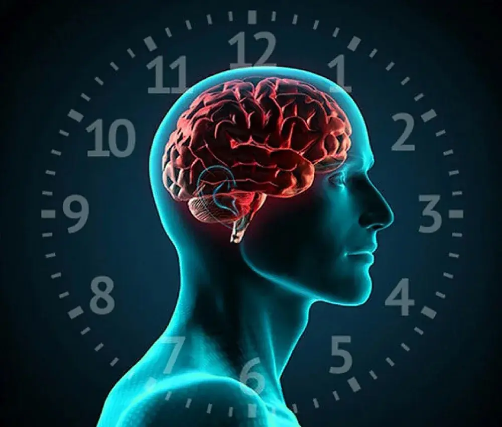 Signs of Stroke Everyone Should Know