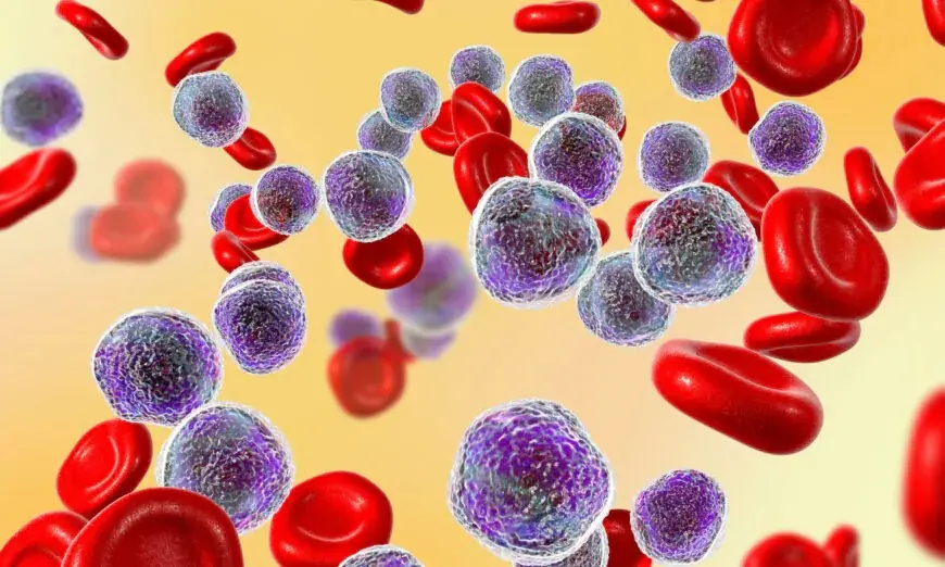 15 Years Cancer-Free: A Japanese Doctor Shares 5 Simple Secrets to Keep Malignant Cells from Returning