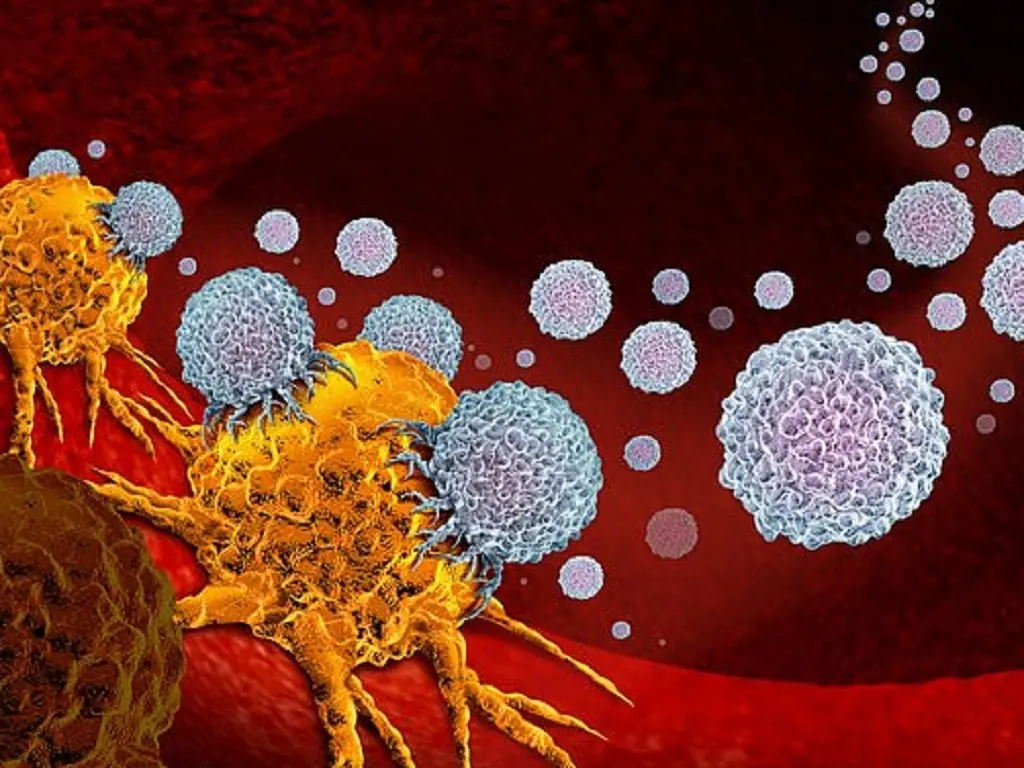 Liver Cancer Is Skyrocketing: Doctors Warn Against Eating These 4 Things Daily — The Wise Have Already Stopped