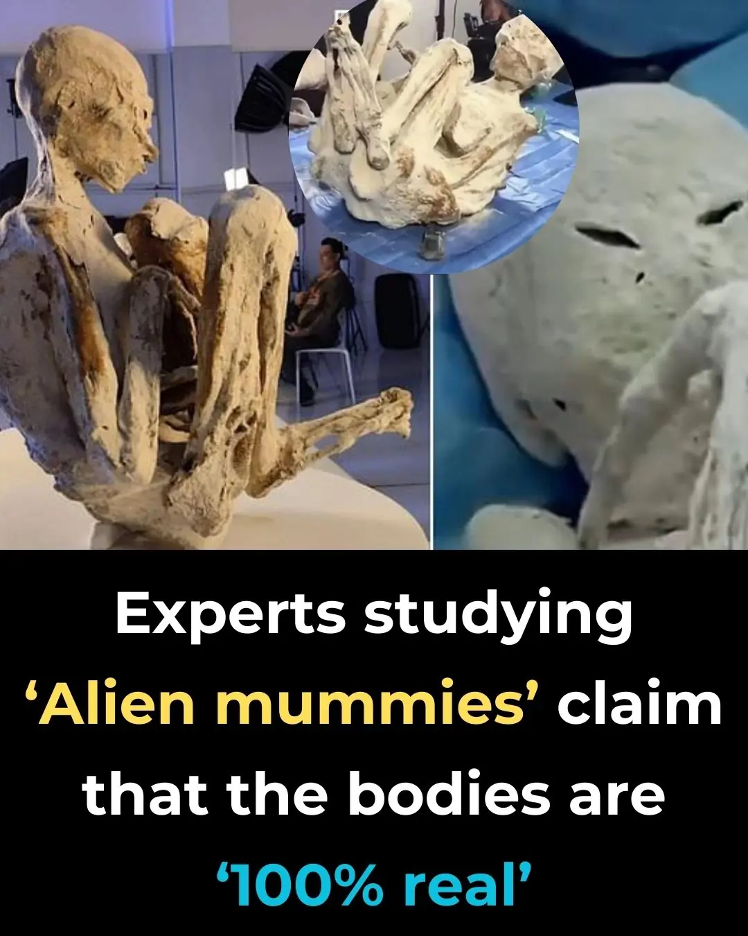 Experts Studying ‘Alien Mummies’ Claim That The Bodies Are ‘100% Real’
