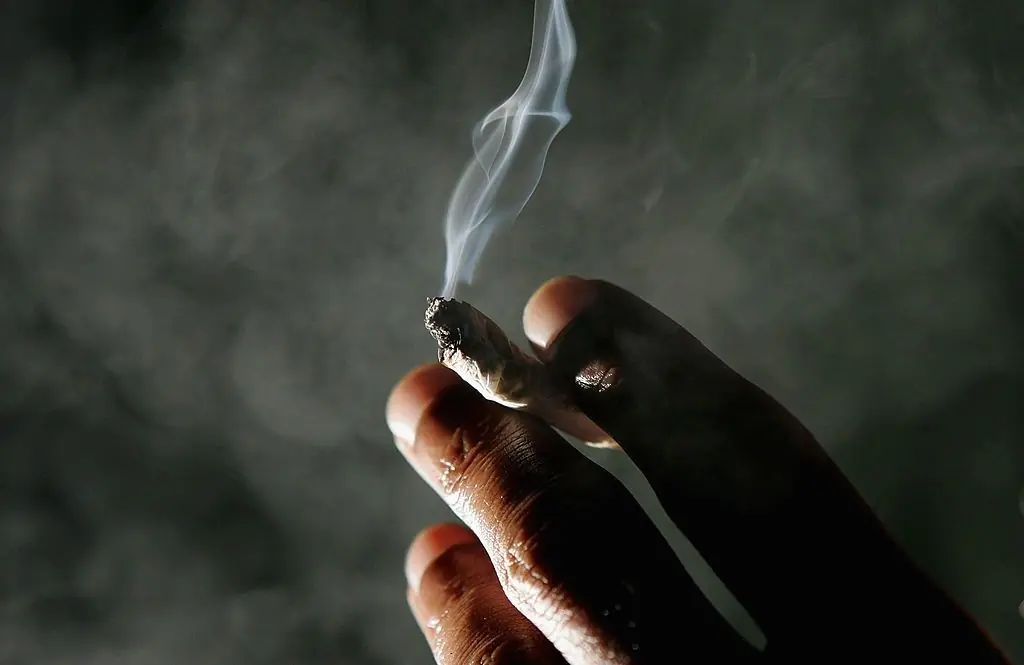Still Smoking Weed at 30? What Science Says About Your Future