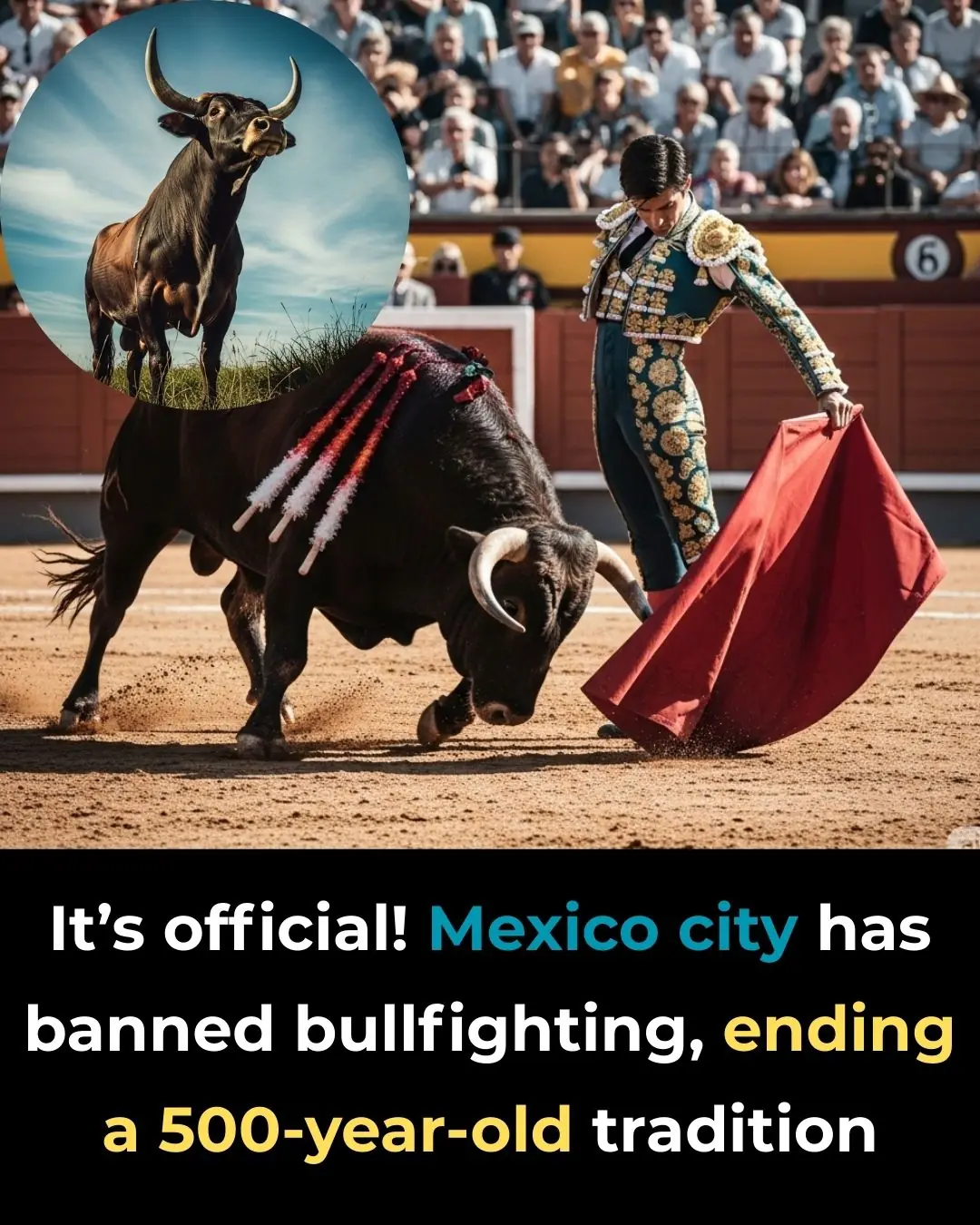 It’s Official! Mexico City Has Banned Bullfighting, Ending A 500-Year-Old Tradition