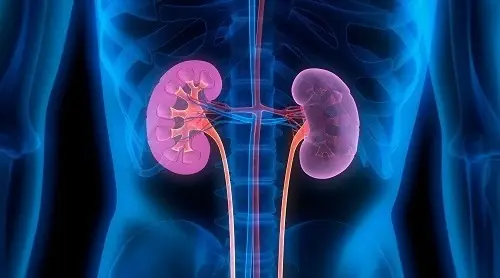 Losing Both Kidneys Before 30: Doctors Warn of 2 Habits That Cause Kidney Failure, Affecting Many People