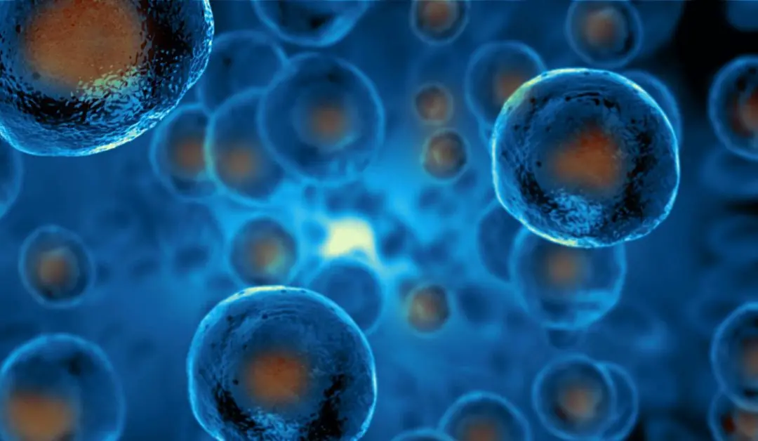 The Power of Water Fasting: Regenerate Your Immune System, Slow Aging, and Boost Health