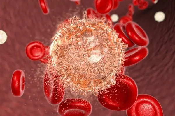 Warning from Hospitals: Eating This Type of Meat Every Day Can Increase Cancer Risk – Don’t Be Complacent!