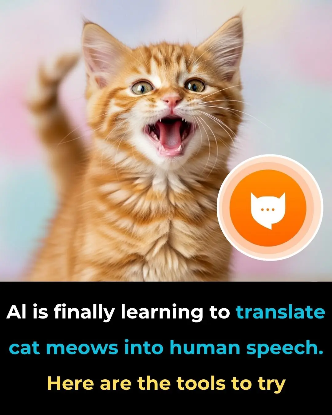 AI is Finally Learning to Translate Cat Meows Into Human Speech. Here Are the Tools to Try