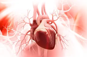 10 Habits That Harm Your Heart That You Probably Didn’t Know About
