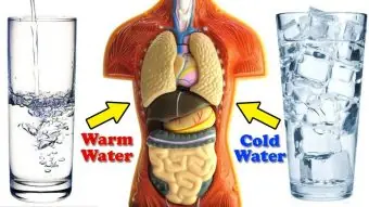 Cold Water vs. Warm Water: Which is Better For Your Health?