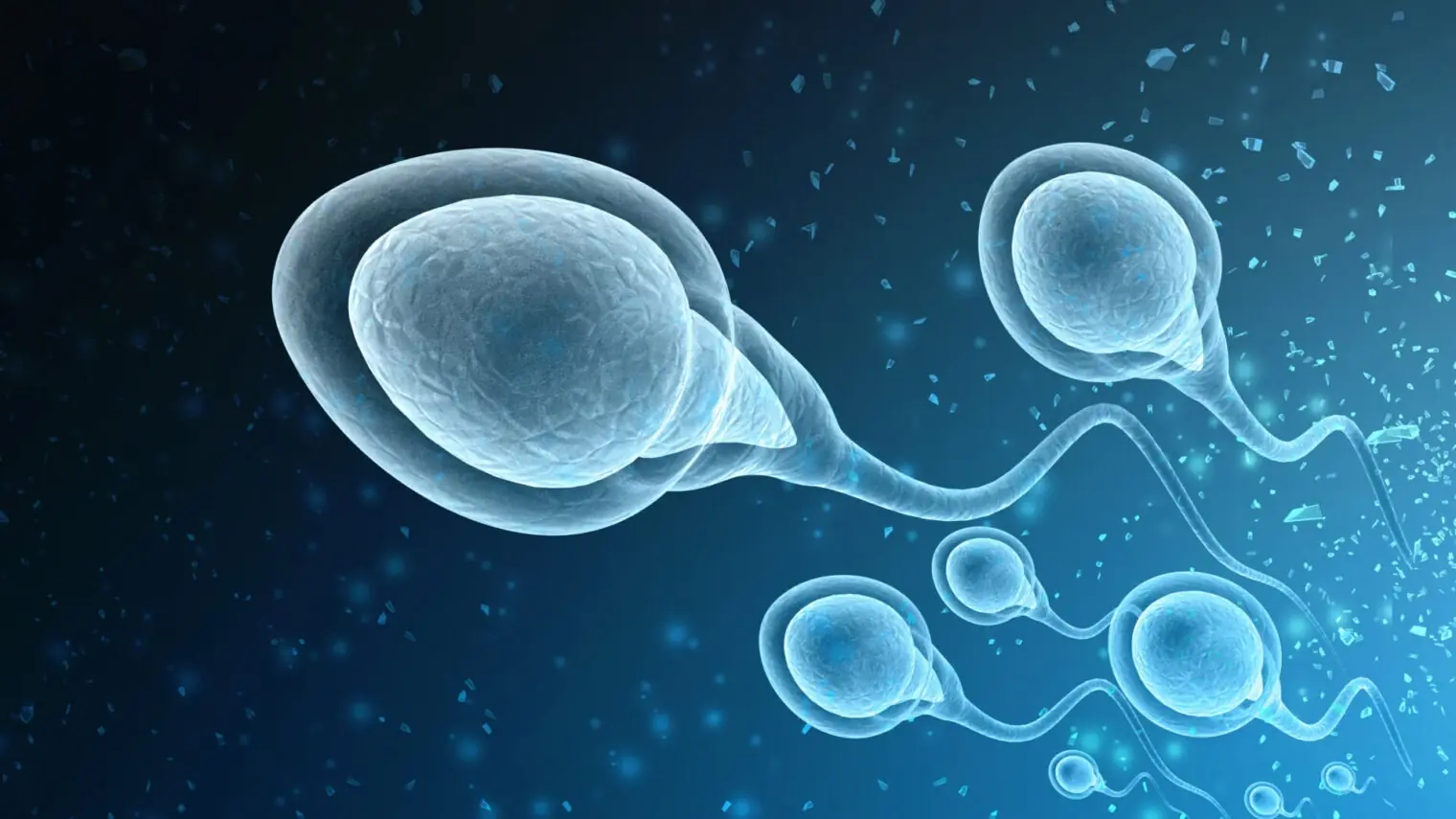 ScienceScientists Found The Hidden Factor Behind the Global Infertility Crisis, And It’s Terrifying