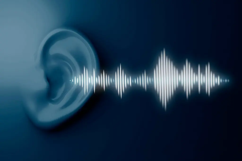 There Is One Sound A Person Makes That Means They Have Less Than 24 Hours To Live