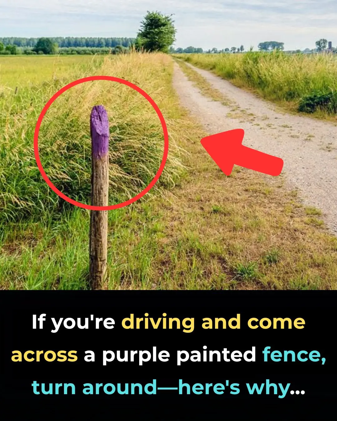 If You See A Fence Painted Purple, You Better Know What It Means – Knowing This Can Save Your Life