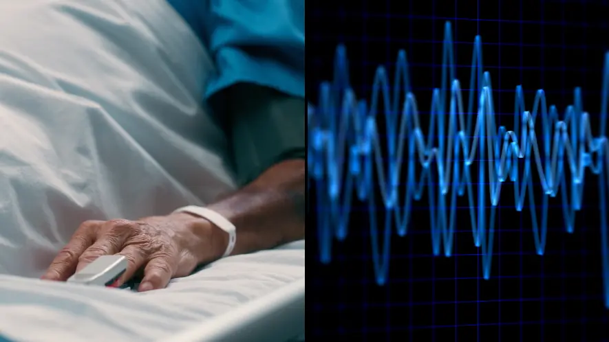 The First-Ever Recording of a Dying Brain May Reveal Our Last Thoughts