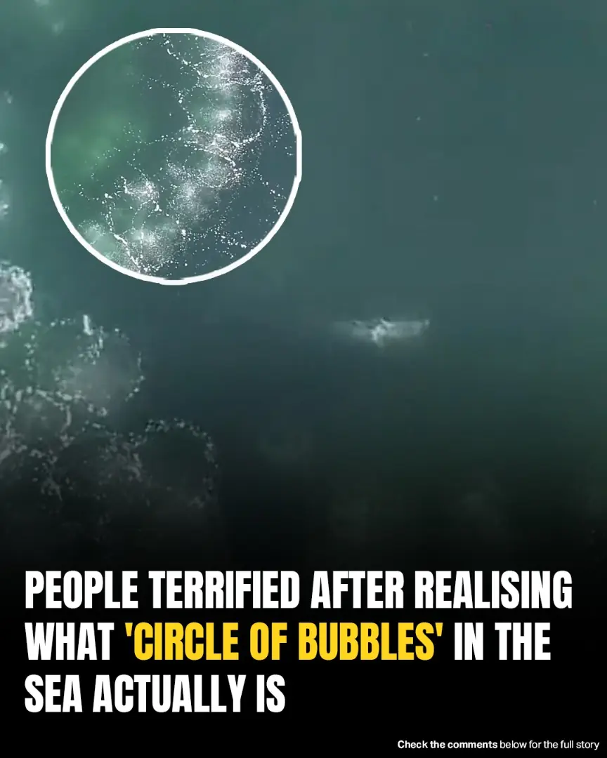 Terrifying Truth Behind Mysterious ‘Circle Of Bubbles’ In The Ocean Revealed
