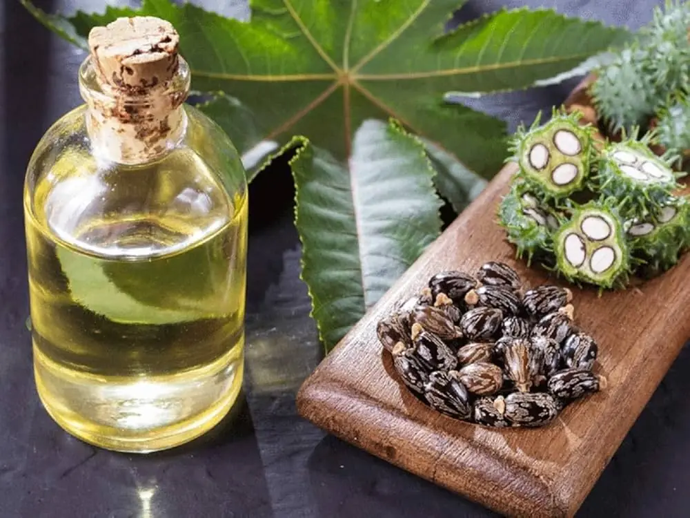 The Amazing Health Benefits and Uses of Castor Oil