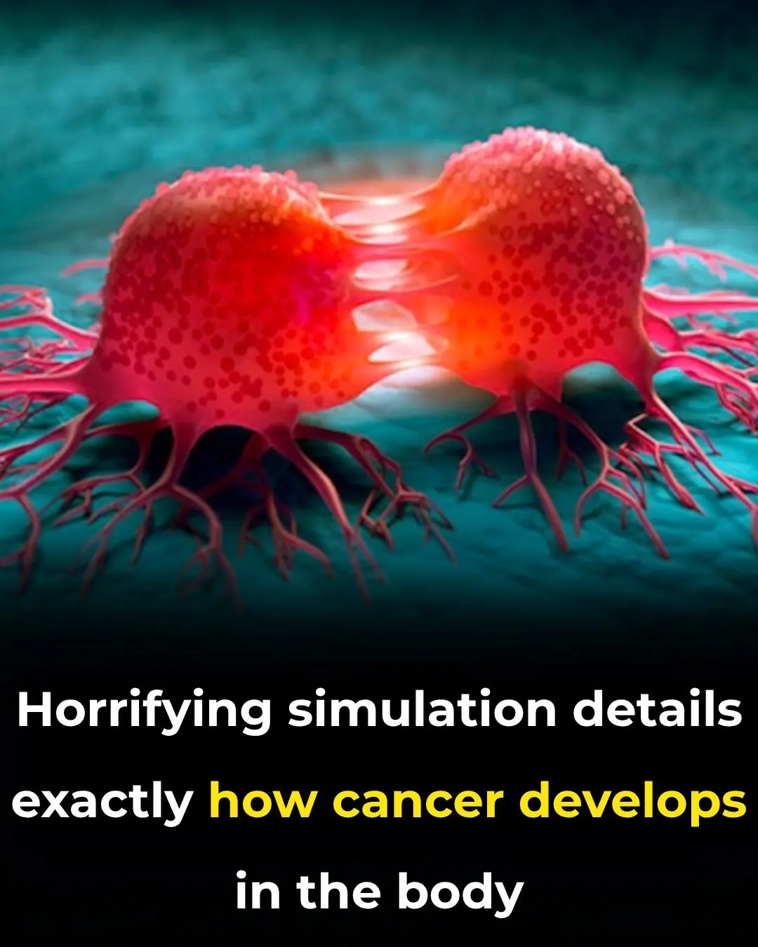 Horrifying simulation details exactly how cancer develops in the body