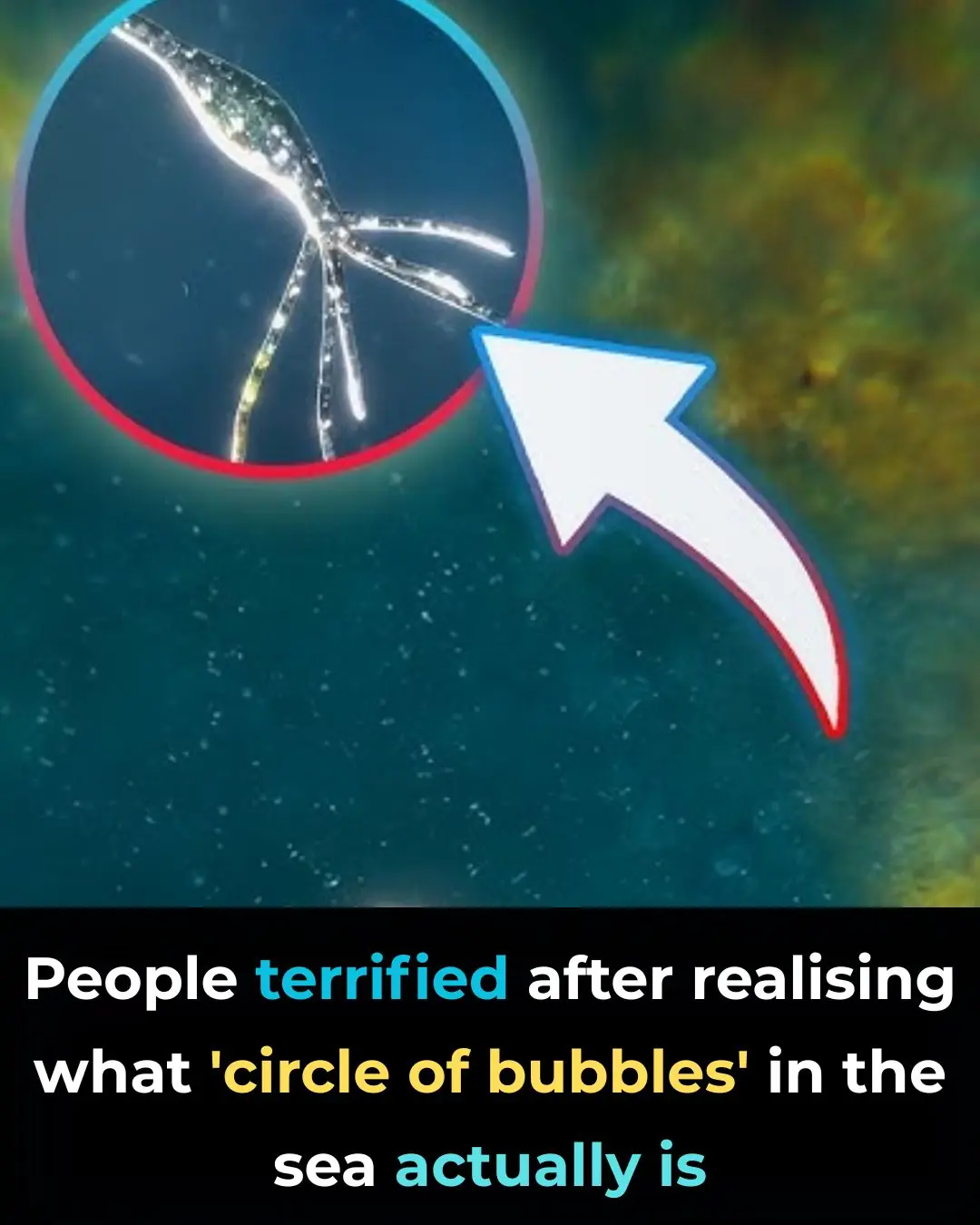 Terrifying Truth Behind Mysterious ‘Circle Of Bubbles’ In The Ocean Revealed
