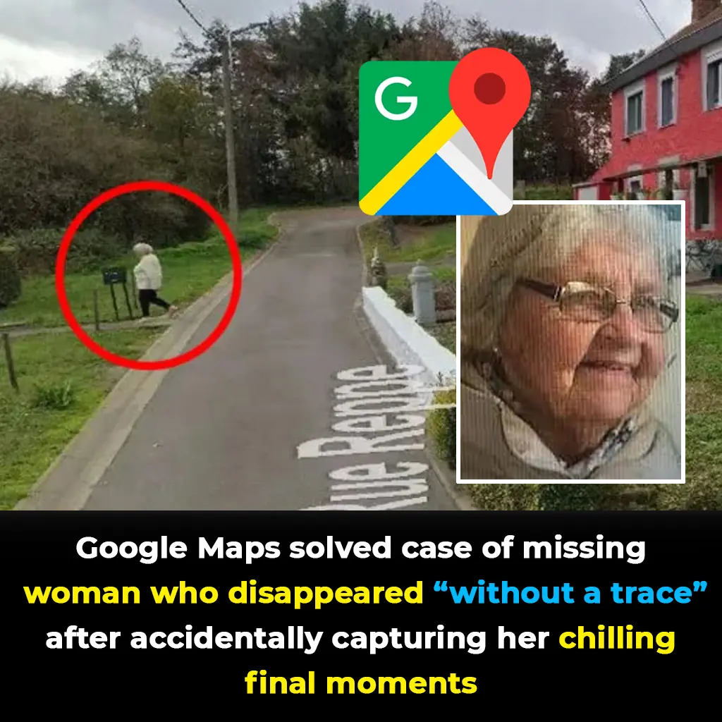 Google Maps Solves Chilling Mystery of Missing Woman - Captured Her Final Moments by Accident