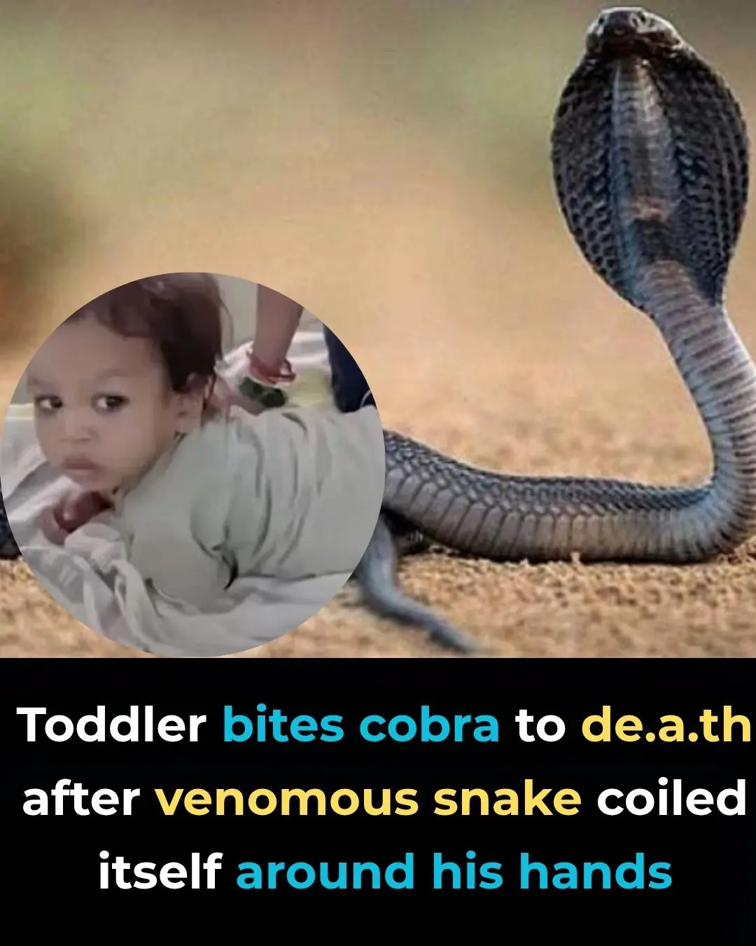 Two-Year-Old Boy Bites Cobra To Death After Snake Coils Around His Hands In India
