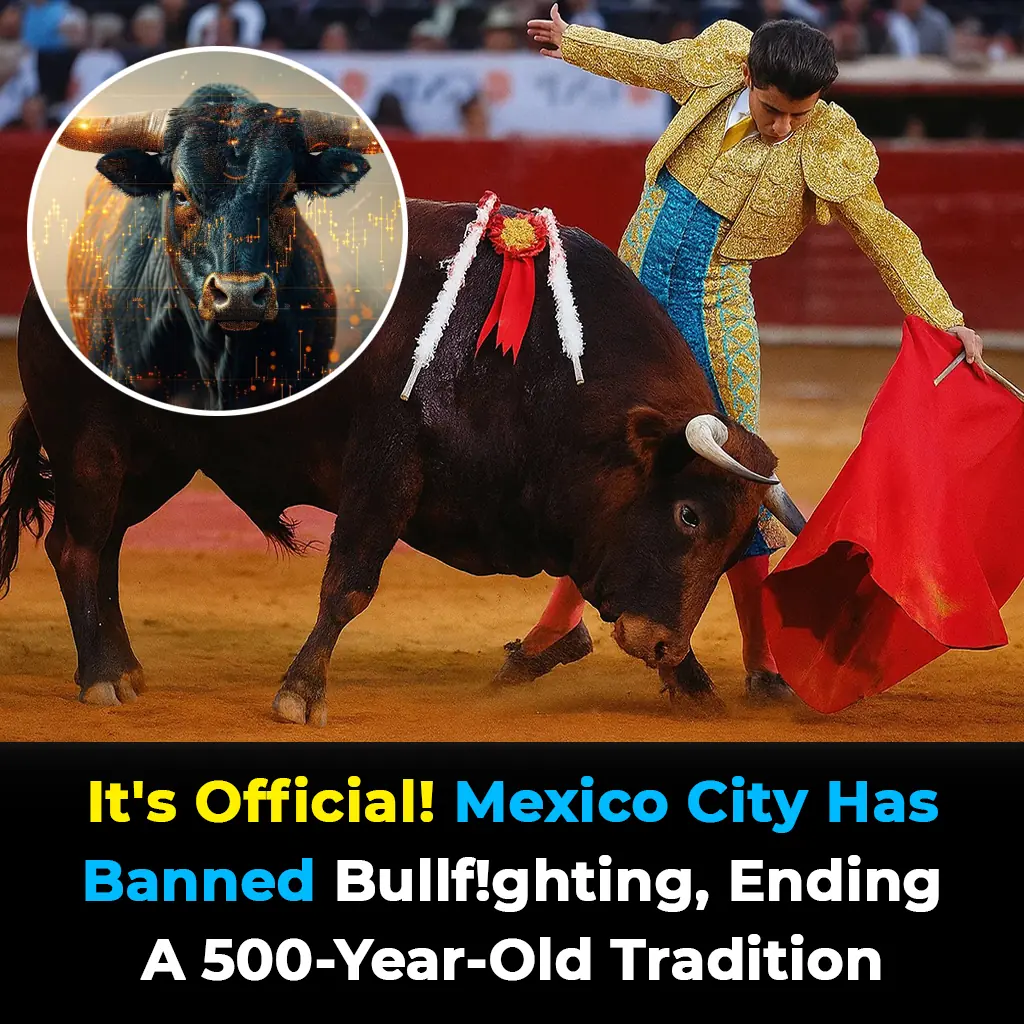 It’s Over! Mexico City Ends 500-Year-Old Bullfighting Tradition for Good