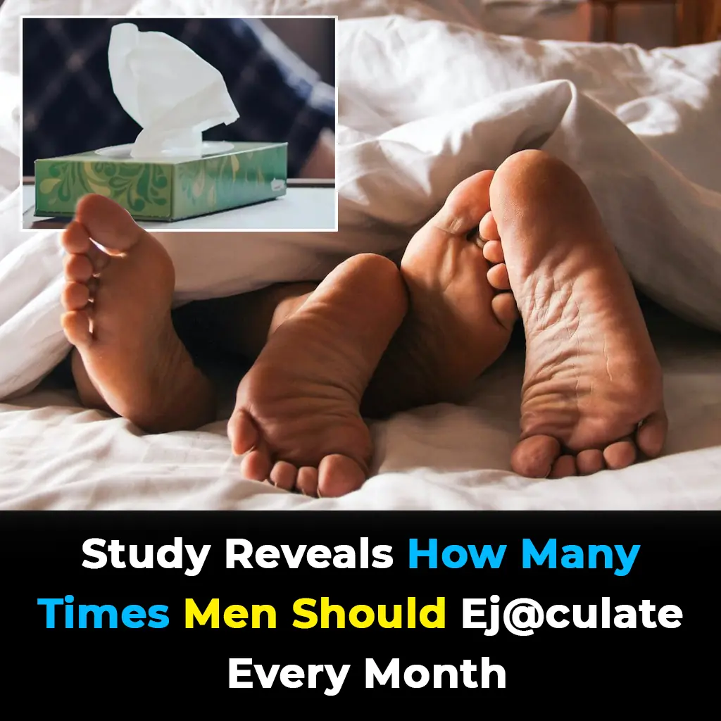 How Often Should Men Ej@culate Each Month? Sh0cking Harvard Study Reveals a Powerful Link to Pr0state Health