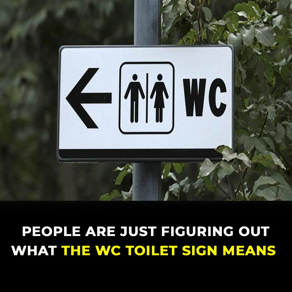 Some people are only now realizing what the “WC” sign stands for on washrooms