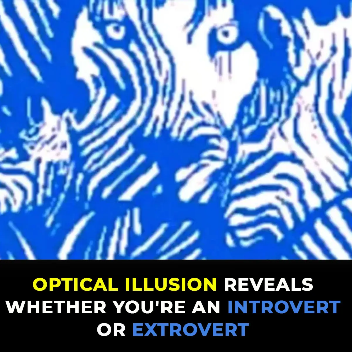 Optical illusion reveals whether you’re an introvert or extrovert
