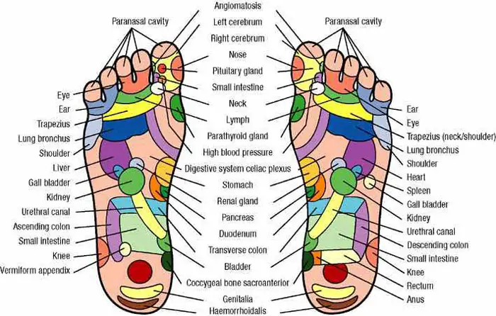 Pressure Points in Your Feet: Use This Foot Massage Chart for Pain Relief