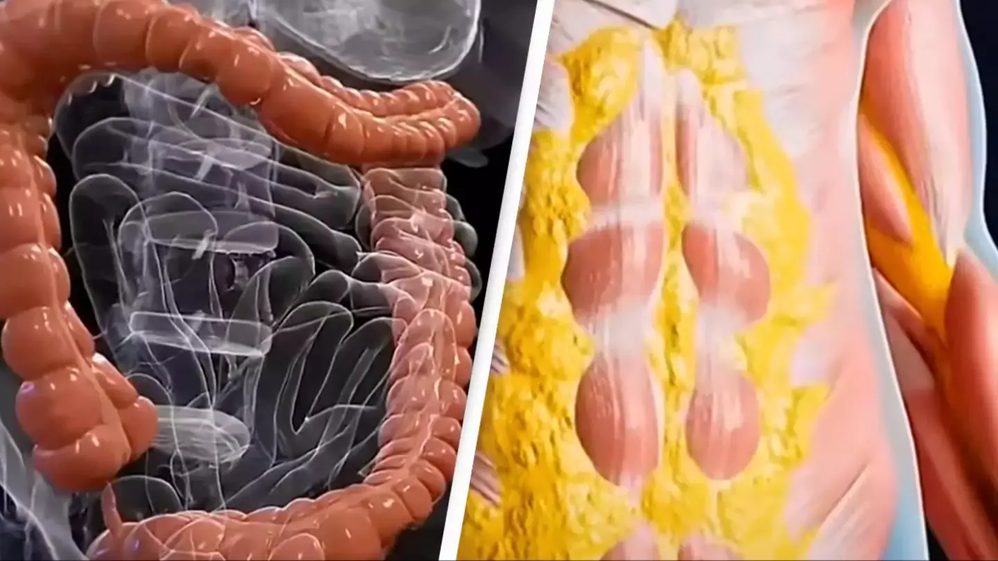 JAW DROPPING SIMULATION SHOWS WHAT HAPPENS TO YOUR BODY WHILE FASTING FOR 36 HOURS TO ACHIEVE 'FULL RESET'